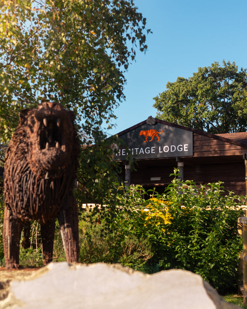 Cam Whitnall — Lion Heart gallery image