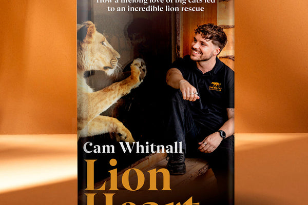 Announcing My Debut Book — Lion Heart