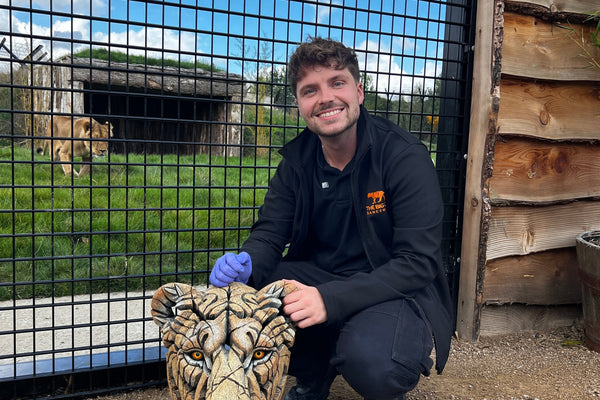 New Sculpture Celebrates the Incredible Story of Yuna the Lioness