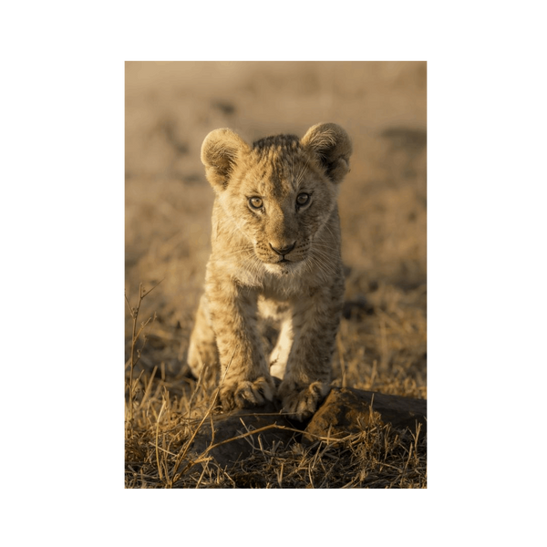 No Frame Framed art print Front