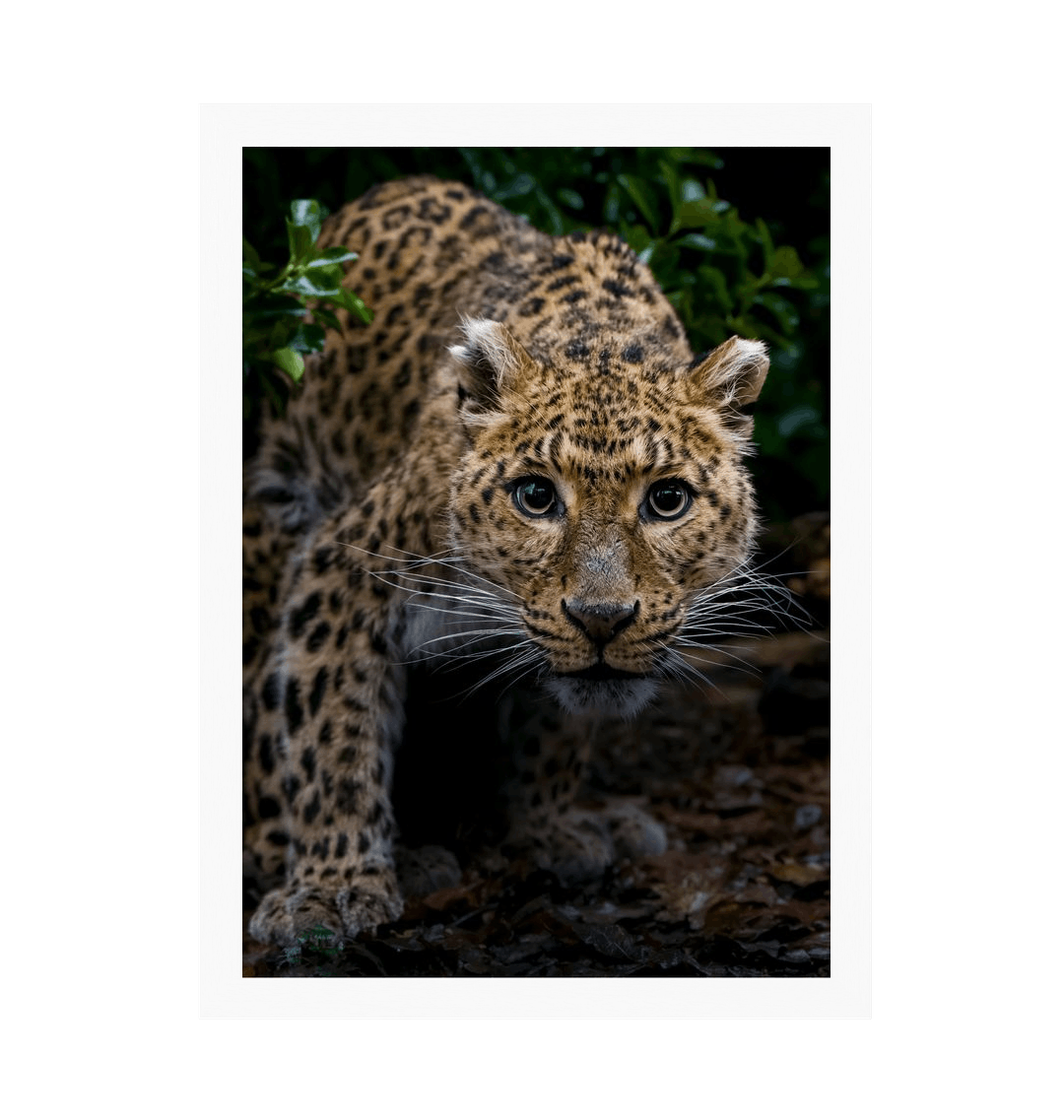 White Frame Framed art print Front