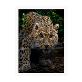 White Frame Framed art print Front