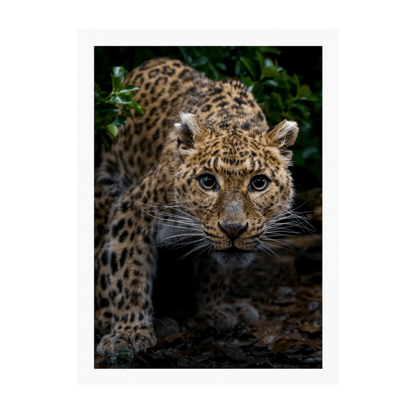 White Frame Framed art print Front