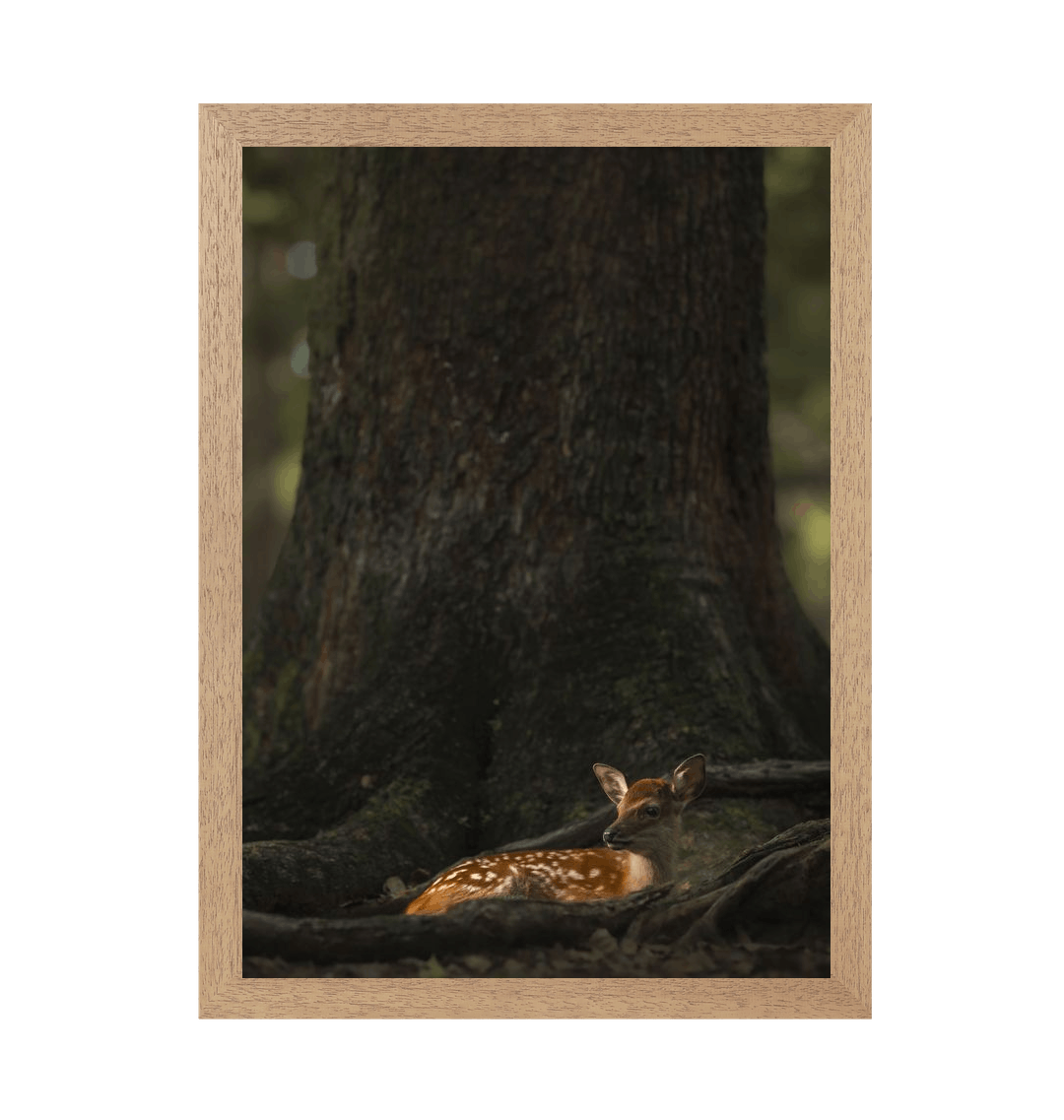 Natural Frame Framed art print Front