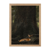 Natural Frame Framed art print Front