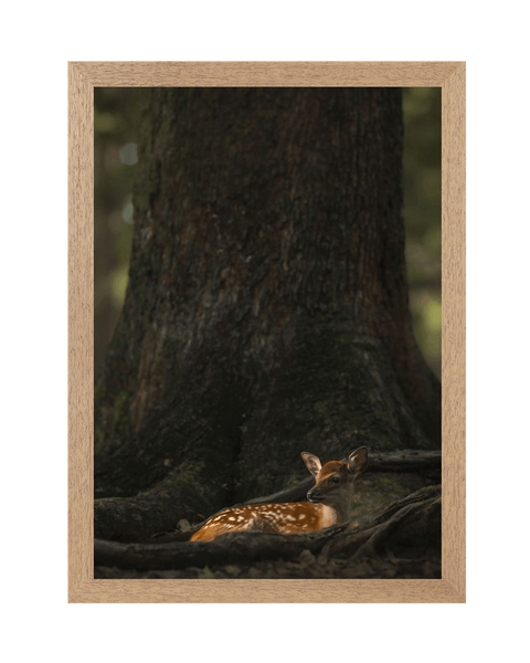 Natural Frame Framed art print Front