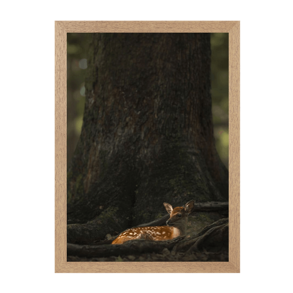 Natural Frame Framed art print Front