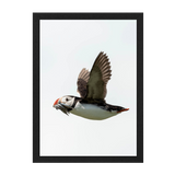 Black Frame Framed art print Front