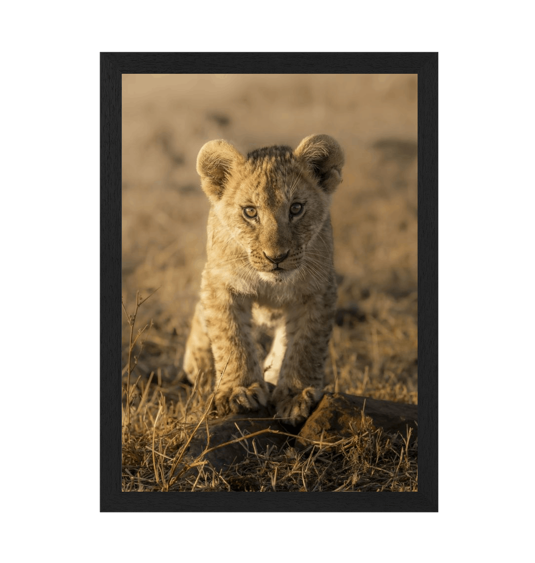 Black Frame Framed art print Front