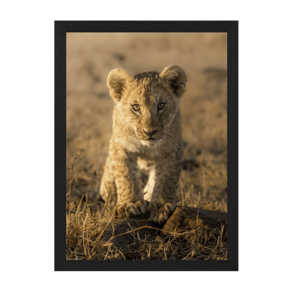 Black Frame Framed art print Front