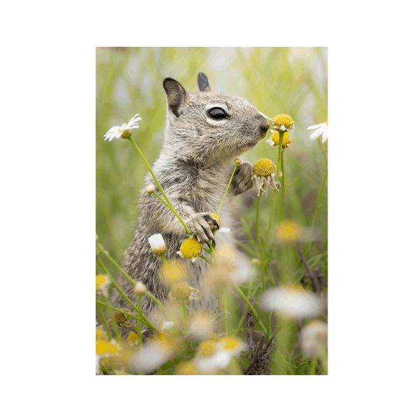 No Frame Framed art print Front