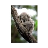 No Frame Canvas Print Front