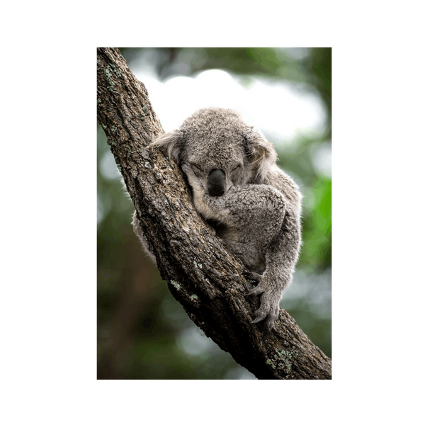 No Frame Canvas Print Front