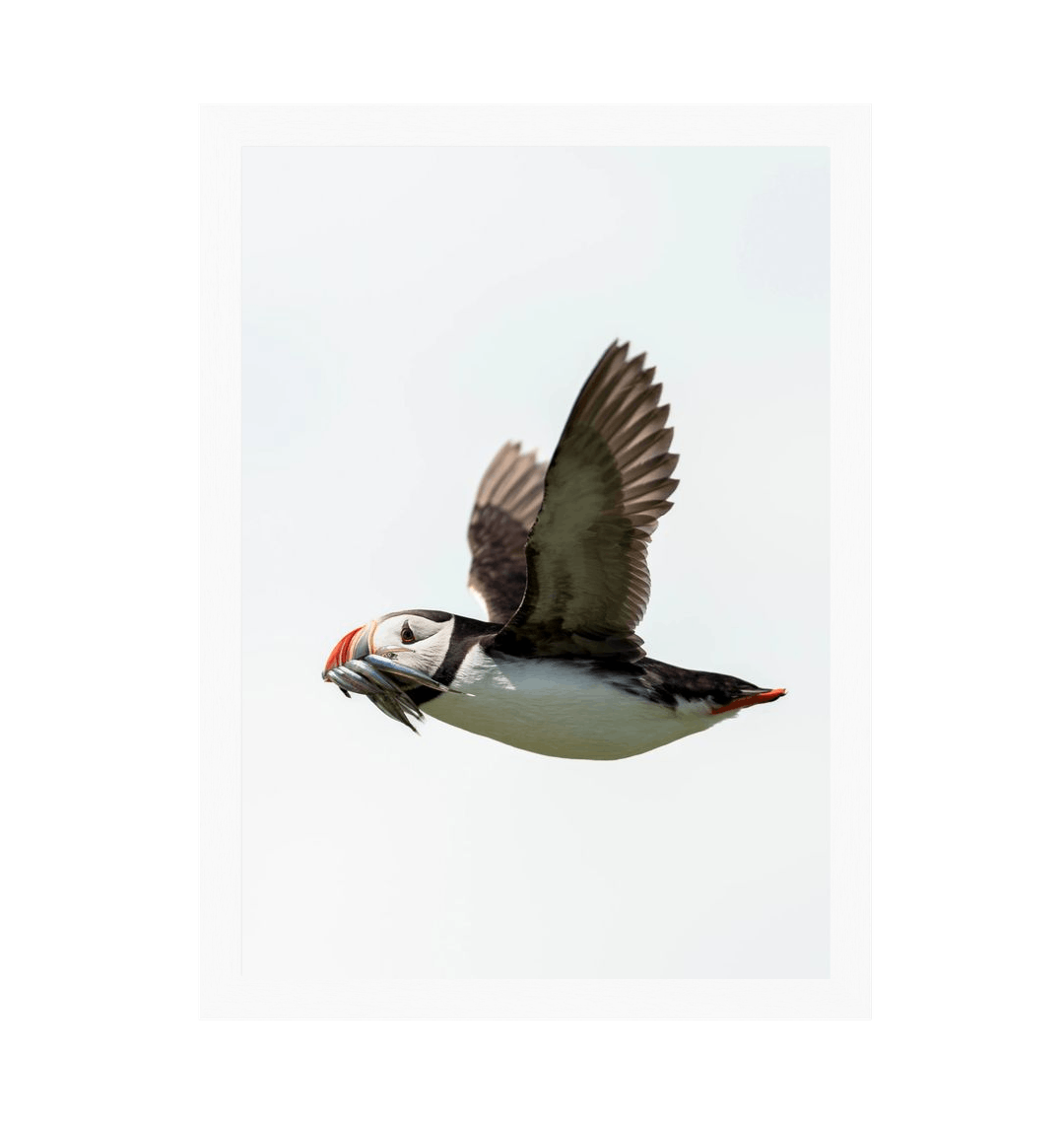 White Frame Framed art print Front