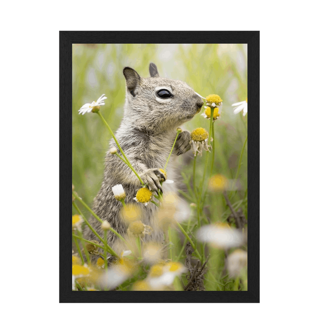 Black Frame Framed art print Front