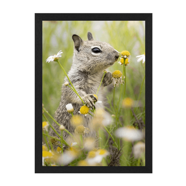 Black Frame Framed art print Front