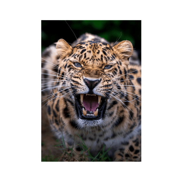 No Frame Canvas Print Front