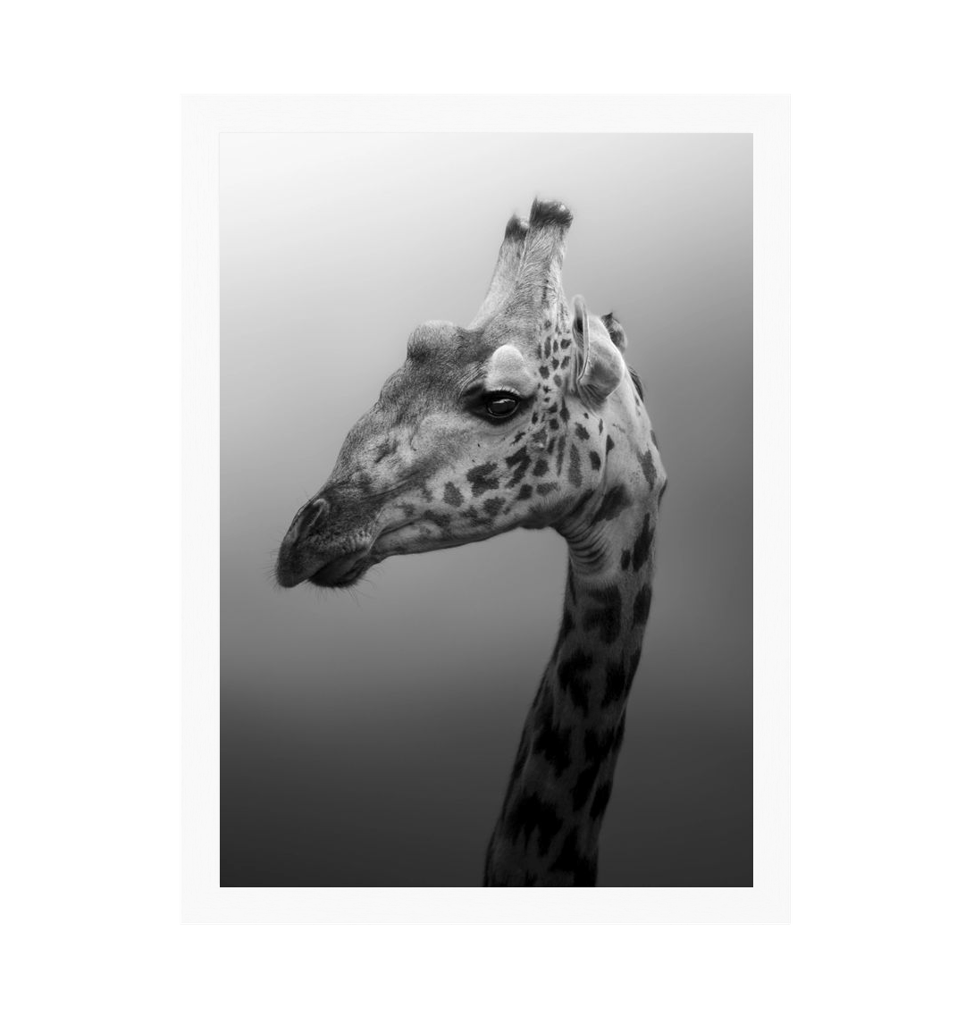 White Frame Framed art print Front