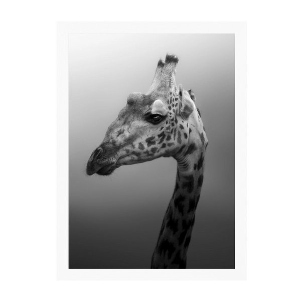 White Frame Framed art print Front