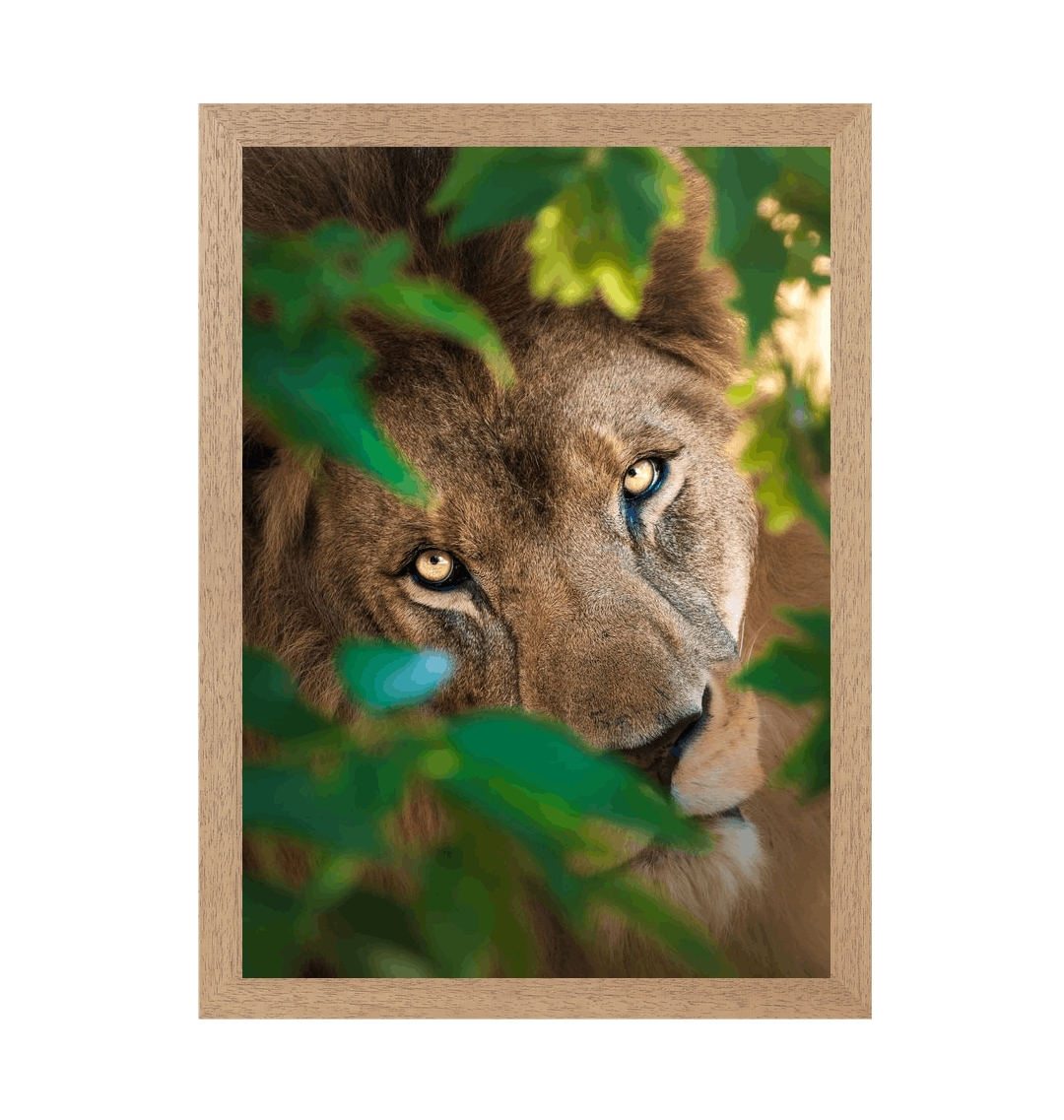 Natural Frame Framed art print Front