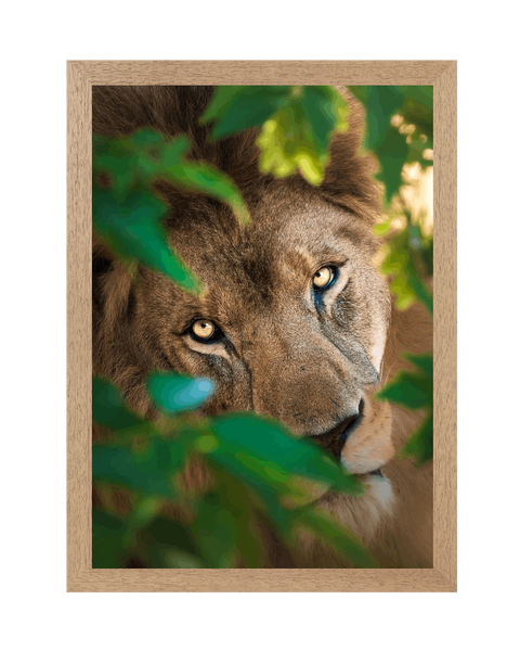 Natural Frame Framed art print Front