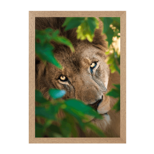 Natural Frame Framed art print Front