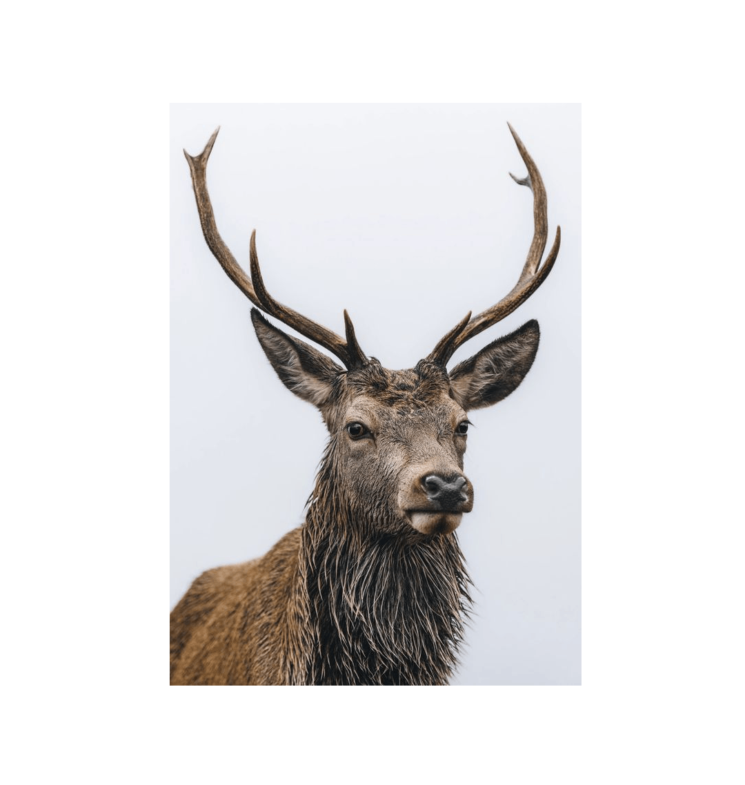 No Frame Canvas Print Front