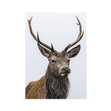 No Frame Canvas Print Front