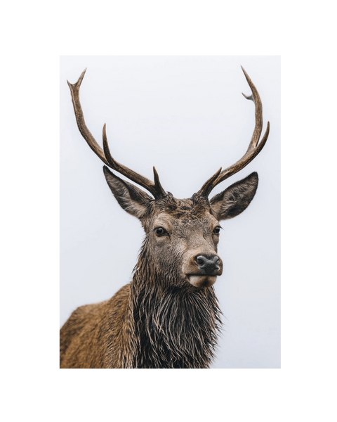 No Frame Canvas Print Front