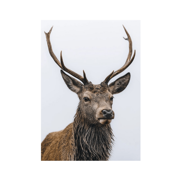 No Frame Canvas Print Front