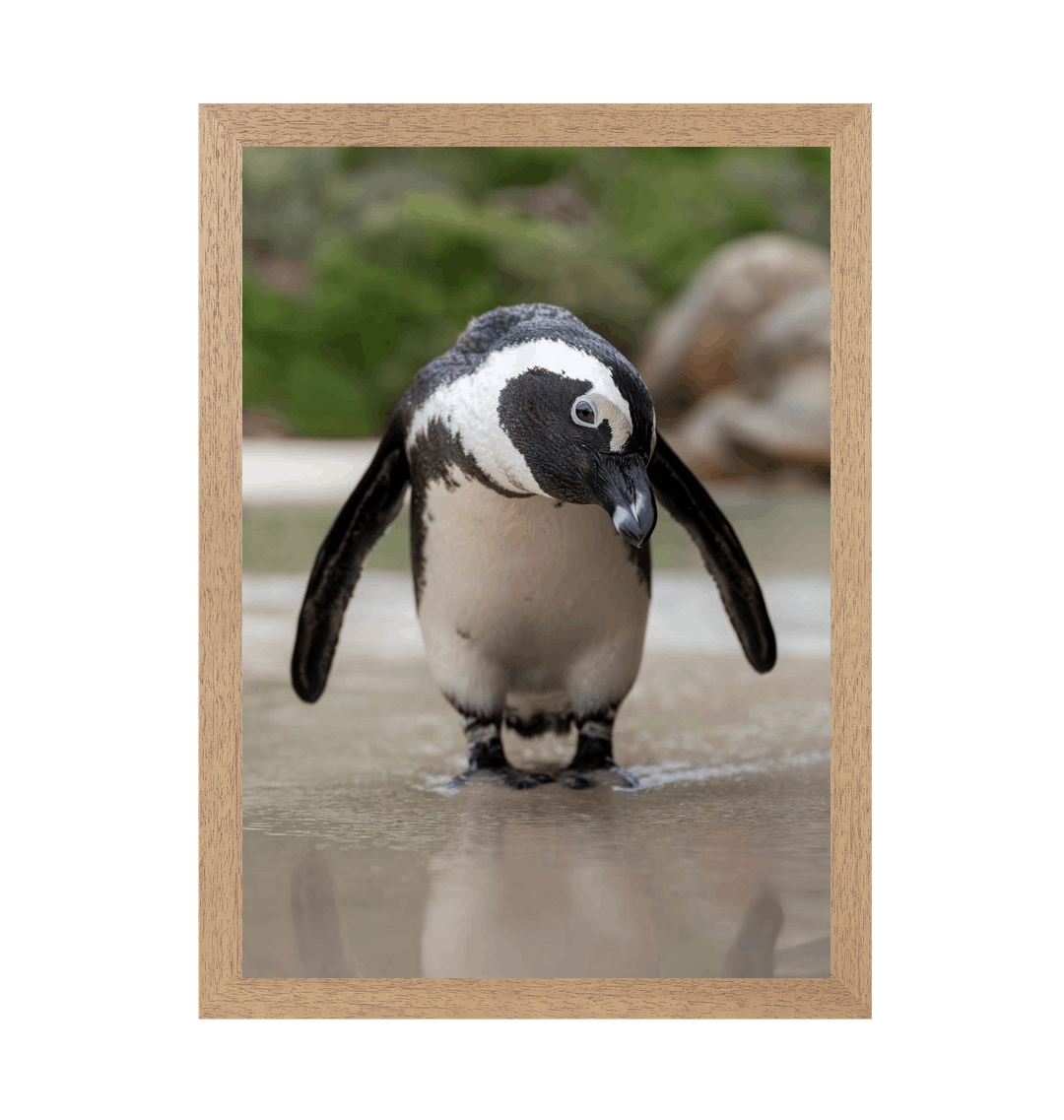 Natural Frame Framed art print Front