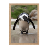 Natural Frame Framed art print Front