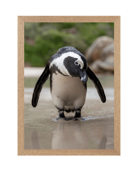 Natural Frame Framed art print Front