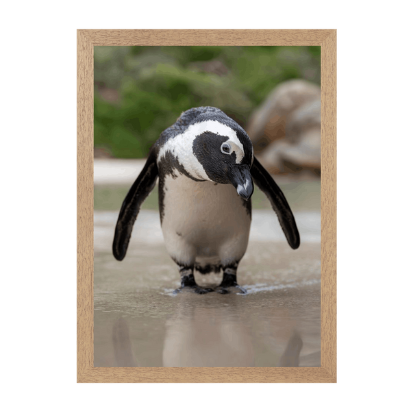 Natural Frame Framed art print Front