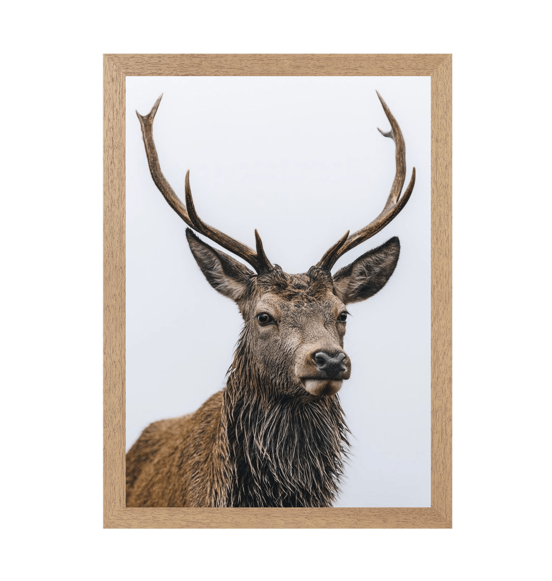 Natural Frame Framed art print Front