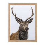 Natural Frame Framed art print Front