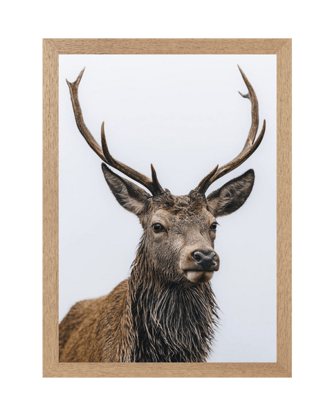 Natural Frame Framed art print Front