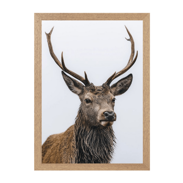 Natural Frame Framed art print Front