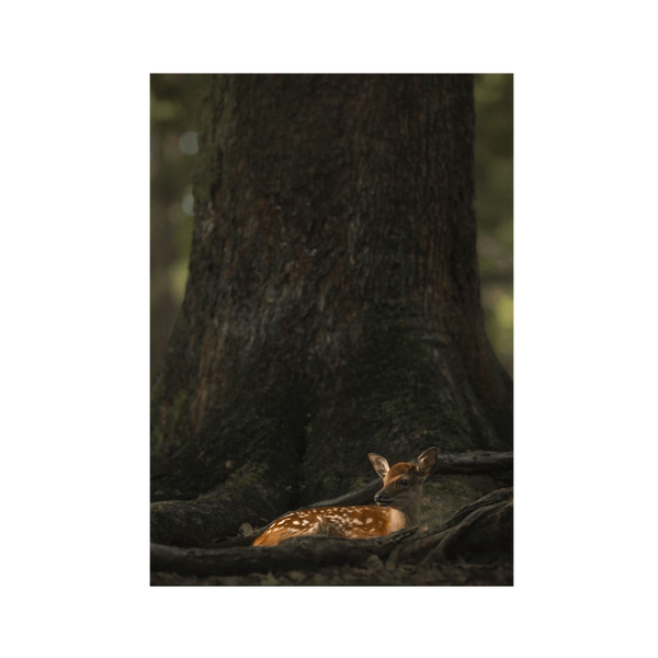 No Frame Canvas Print Front