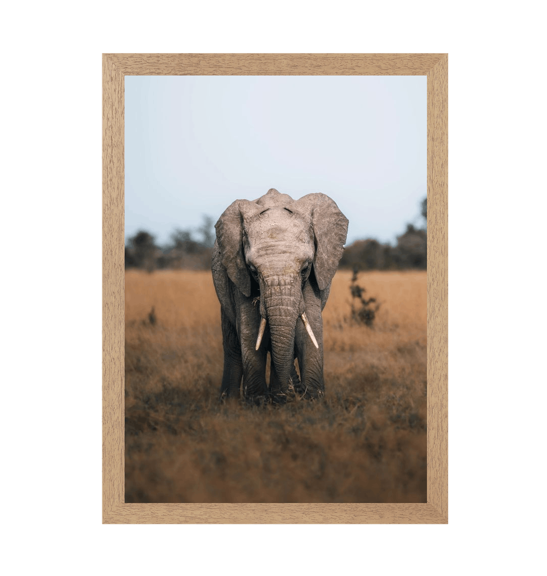 Natural Frame Framed art print Front