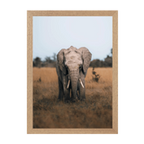 Natural Frame Framed art print Front