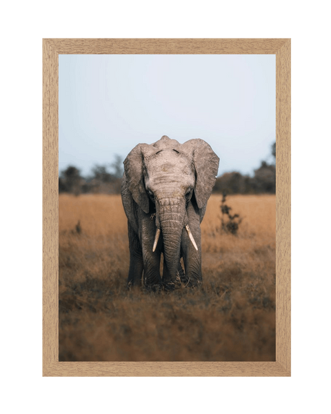 Natural Frame Framed art print Front