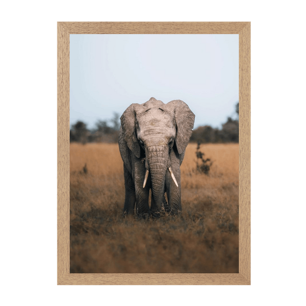 Natural Frame Framed art print Front