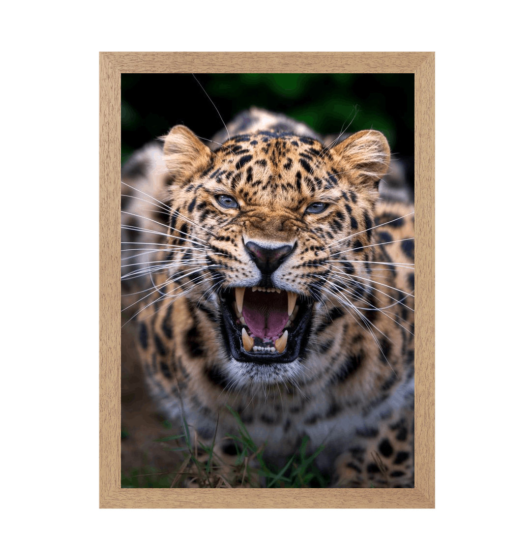 Natural Frame Framed art print Front