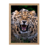 Natural Frame Framed art print Front