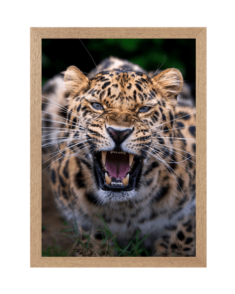 Natural Frame Framed art print Front