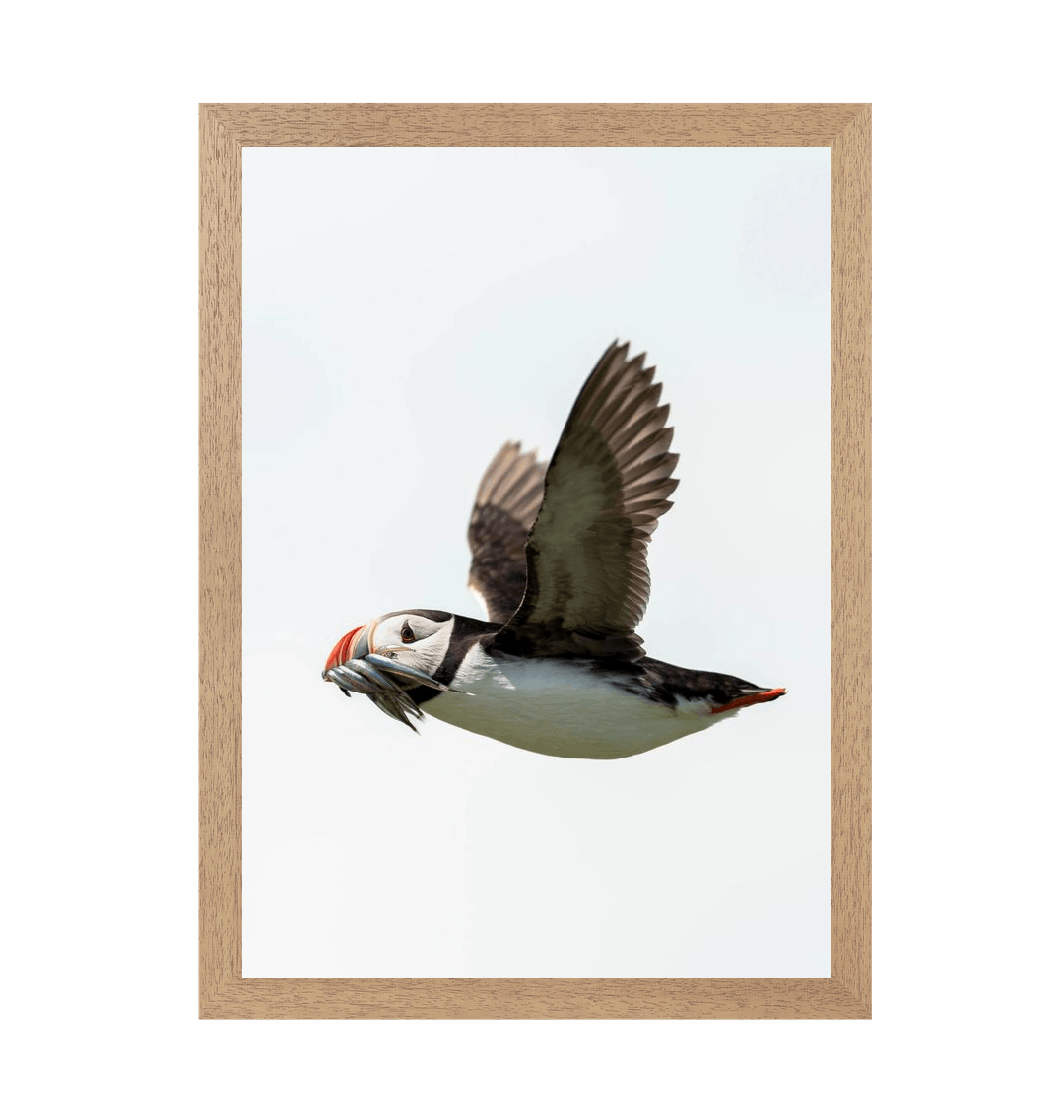 Natural Frame Framed art print Front