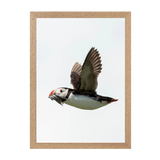 Natural Frame Framed art print Front