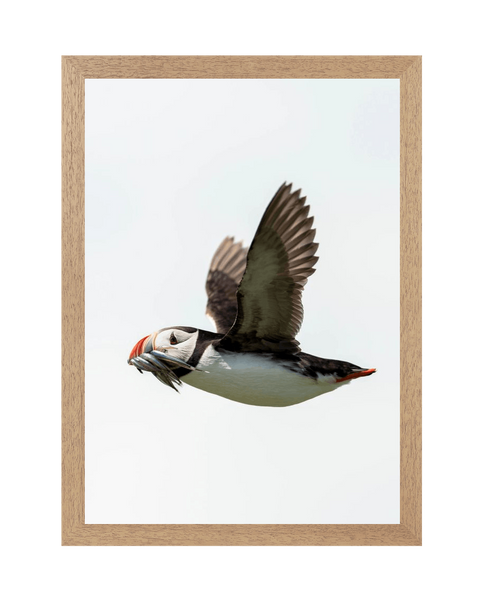 Natural Frame Framed art print Front