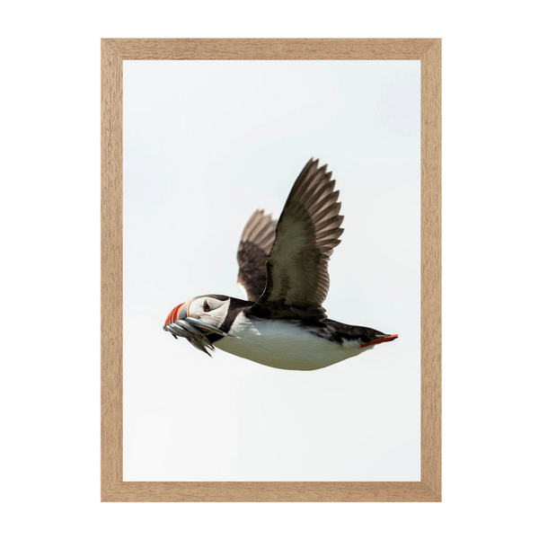 Natural Frame Framed art print Front